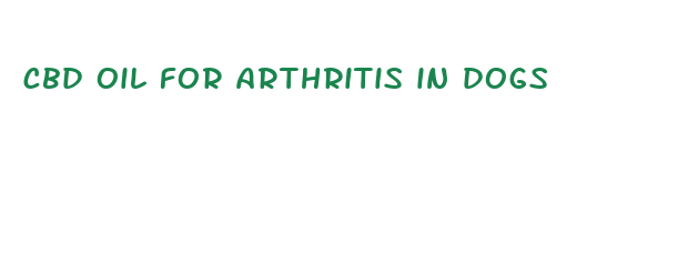 cbd oil for arthritis in dogs