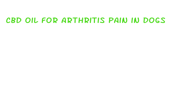 cbd oil for arthritis pain in dogs