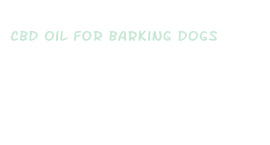 cbd oil for barking dogs