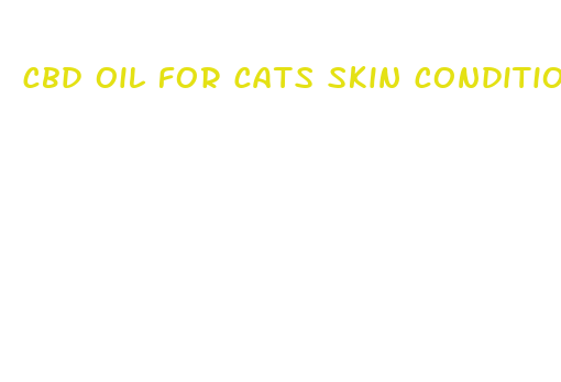 cbd oil for cats skin conditions