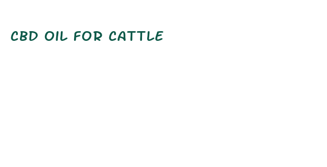 cbd oil for cattle