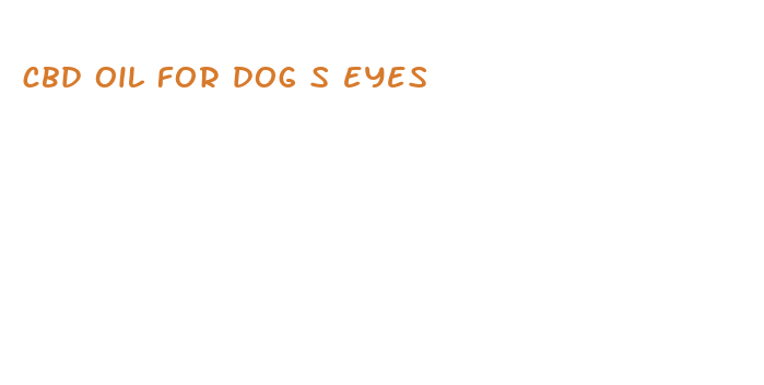 cbd oil for dog s eyes