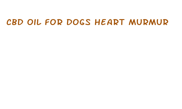 cbd oil for dogs heart murmur