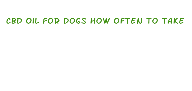 cbd oil for dogs how often to take