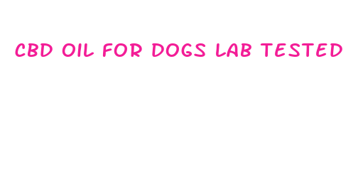 cbd oil for dogs lab tested