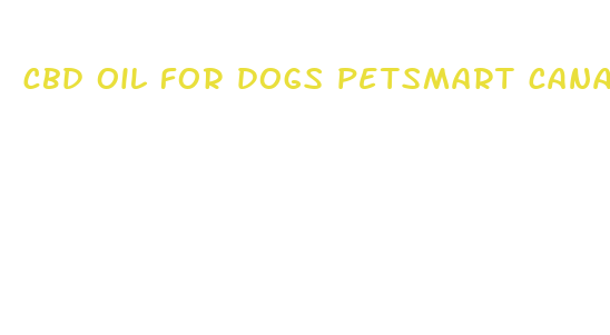 cbd oil for dogs petsmart canada