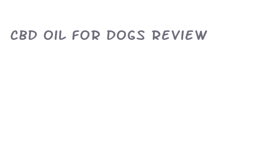 cbd oil for dogs review