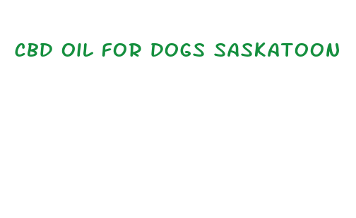 cbd oil for dogs saskatoon