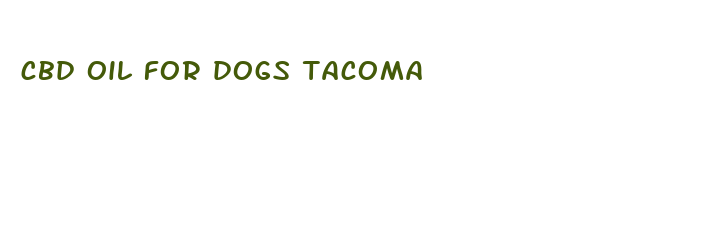 cbd oil for dogs tacoma