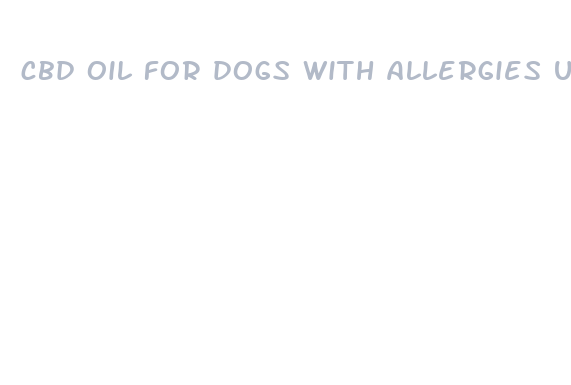 cbd oil for dogs with allergies uk