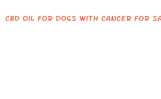 cbd oil for dogs with cancer for sale