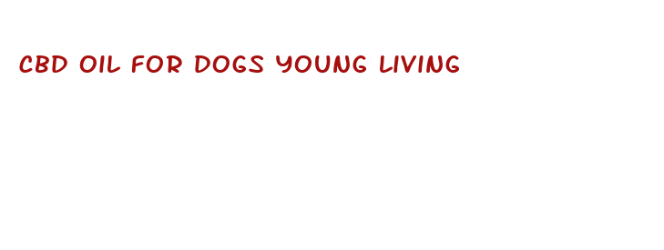 cbd oil for dogs young living