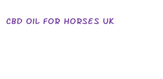 cbd oil for horses uk