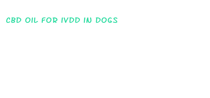 cbd oil for ivdd in dogs