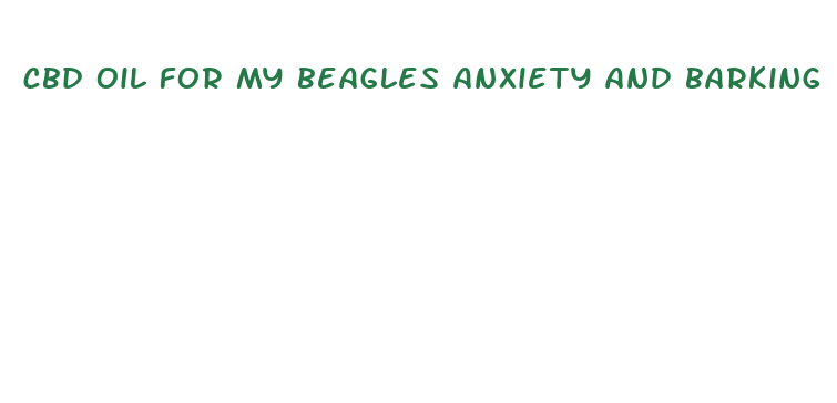 cbd oil for my beagles anxiety and barking