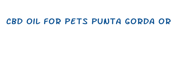 cbd oil for pets punta gorda or arcadia