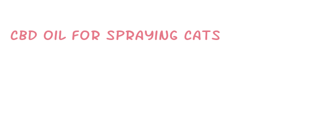 cbd oil for spraying cats