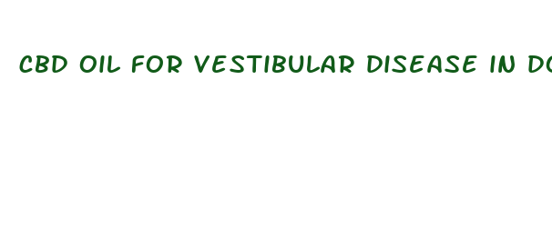 cbd oil for vestibular disease in dogs