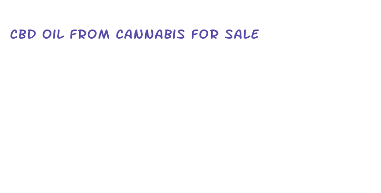 cbd oil from cannabis for sale