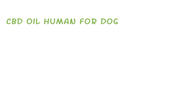 cbd oil human for dog