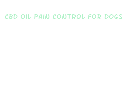 cbd oil pain control for dogs