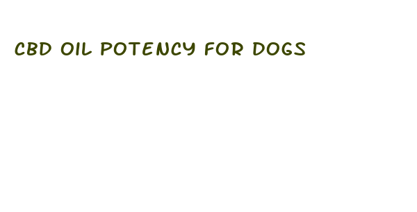 cbd oil potency for dogs