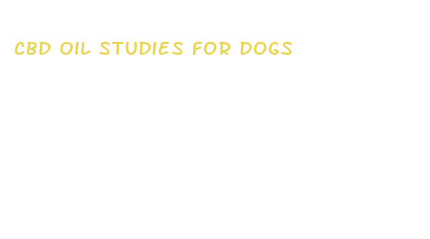 cbd oil studies for dogs