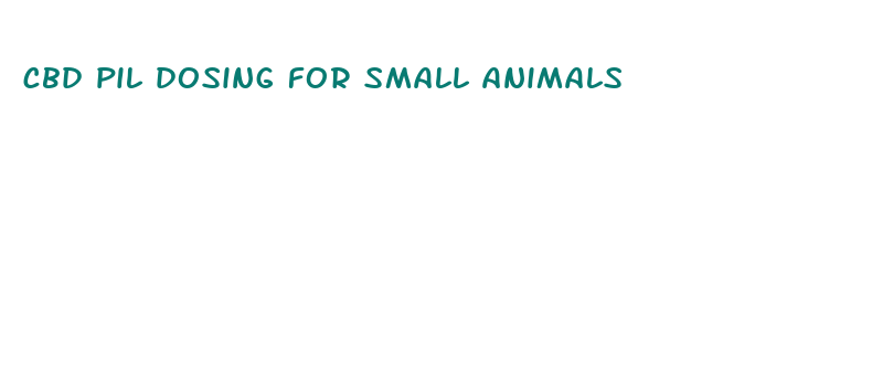 cbd pil dosing for small animals