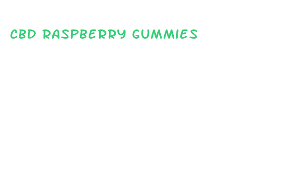 cbd raspberry gummies