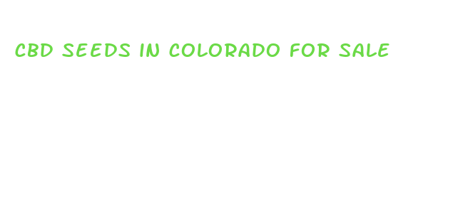 cbd seeds in colorado for sale