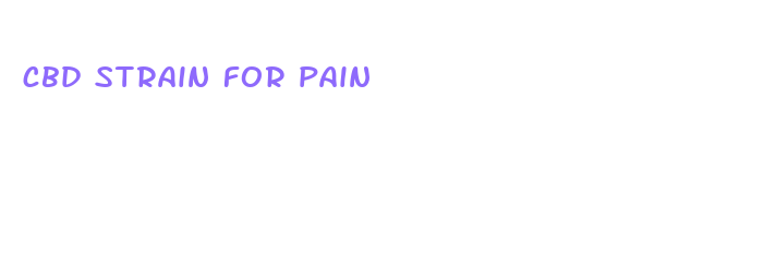 cbd strain for pain