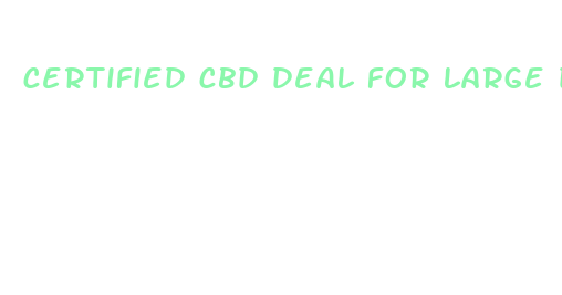 certified cbd deal for large dogs made in denver