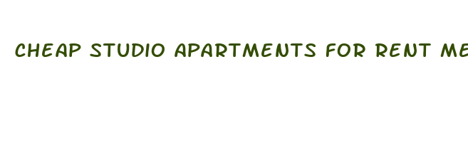 cheap studio apartments for rent melbourne cbd