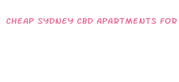 cheap sydney cbd apartments for rent