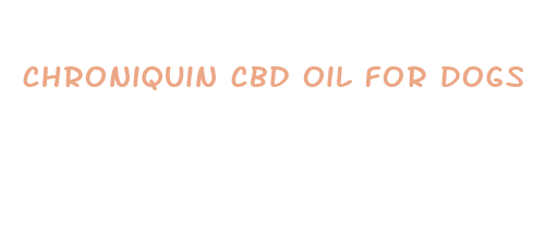 chroniquin cbd oil for dogs