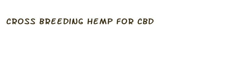 cross breeding hemp for cbd