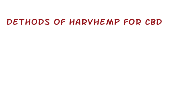 dethods of harvhemp for cbd