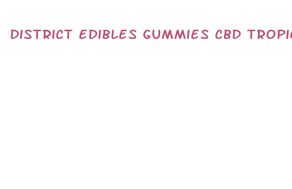 district edibles gummies cbd tropical punch 5mg