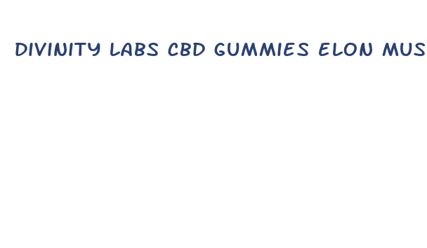 divinity labs cbd gummies elon musk