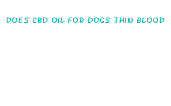 does cbd oil for dogs thin blood