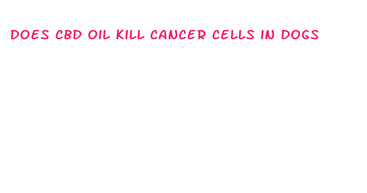 does cbd oil kill cancer cells in dogs