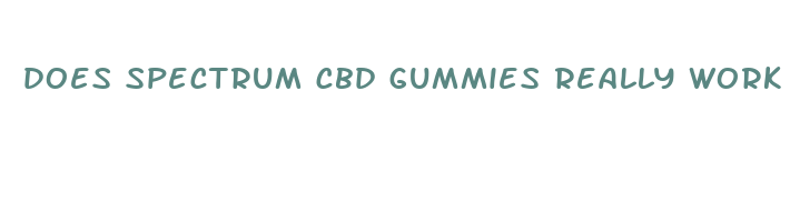 does spectrum cbd gummies really work