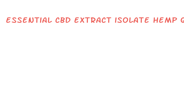 essential cbd extract isolate hemp gummies