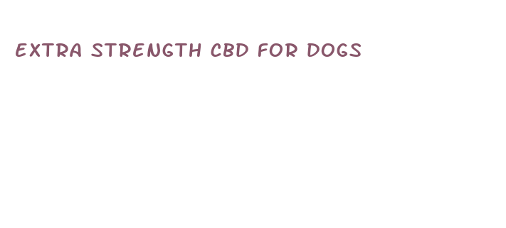 extra strength cbd for dogs