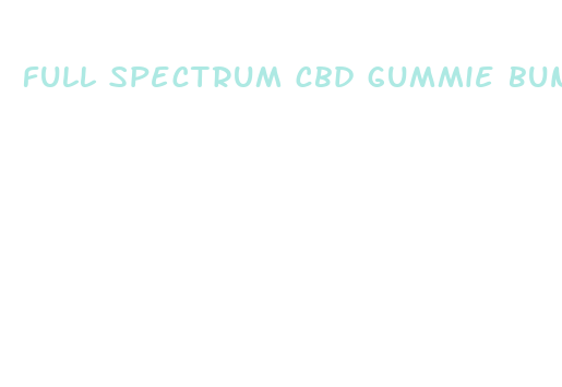 full spectrum cbd gummie bundle