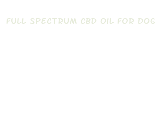 full spectrum cbd oil for dogs