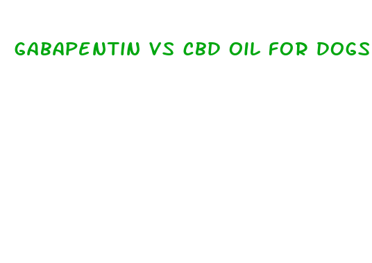 gabapentin vs cbd oil for dogs