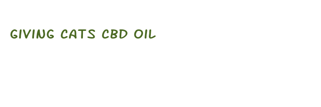 giving cats cbd oil