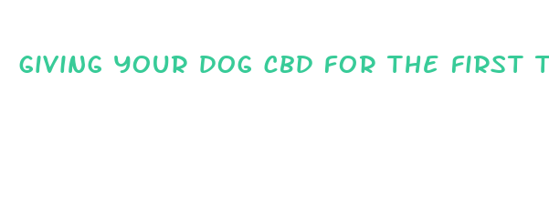 giving your dog cbd for the first time