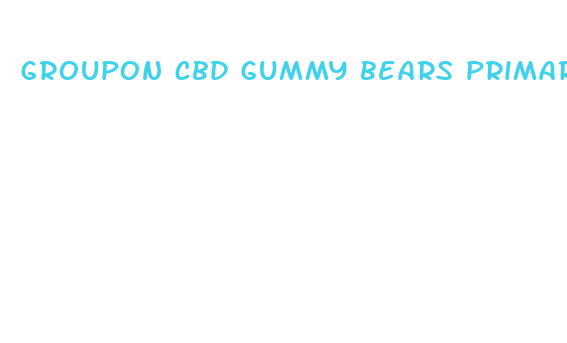 groupon cbd gummy bears primara hemp